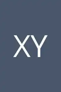 Xinyi Ye