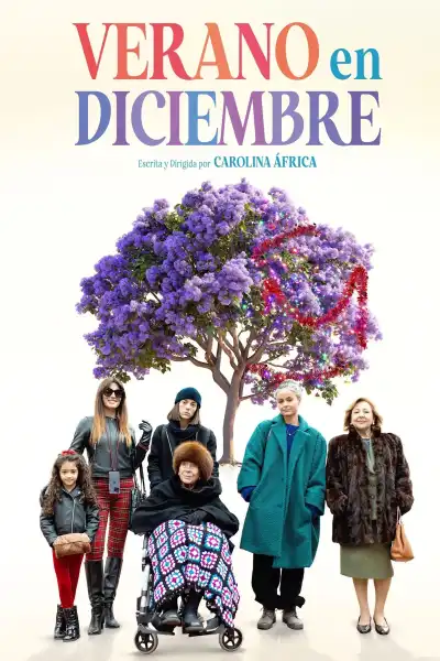 Poster for Verano en diciembre