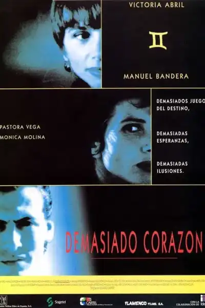 Poster for Too Much Heart