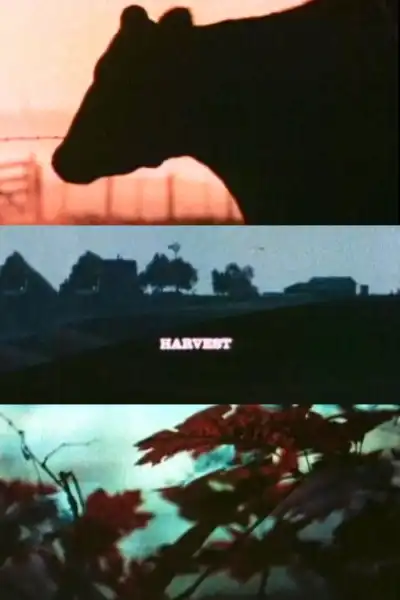 Poster for Harvest