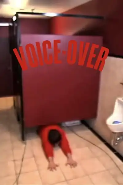 Poster for Voice Over