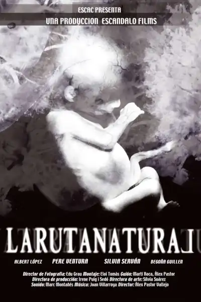 Poster for The Natural Route